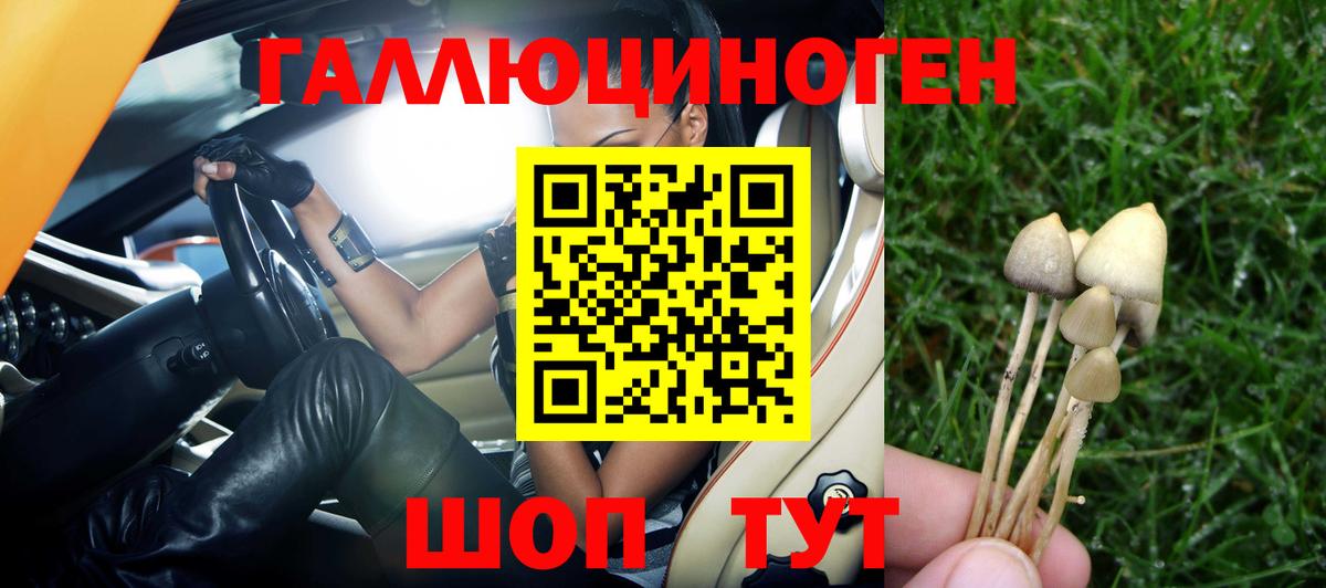 Псилоцибиновые грибы MAGIC MUSHROOMS  Вход с VPN  Орёл 