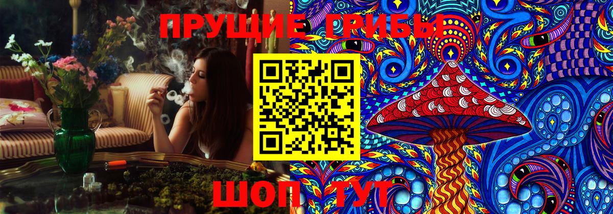Галлюциногенные грибы Psilocybe Орёл